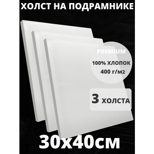 Холст на подрамнике грунтованный 30х40 см, плотность 400 г/м2 для рисования 3 шт