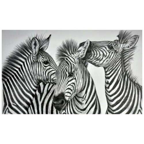 фото Алмазная живопись набор алмазной вышивки зебры (аж-1183) 50х30 см
