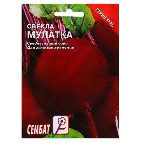 Семена ХХХL Свекла Мулатка, 10 г семена хххl свекла мулатка 10 г