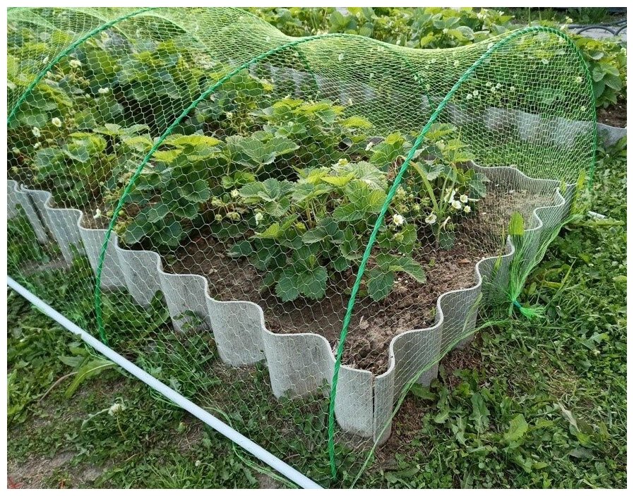 Пластиковая сетка от птиц 2х10 м Интерлок, ячейка 20х20 мм, садовая для защиты урожая