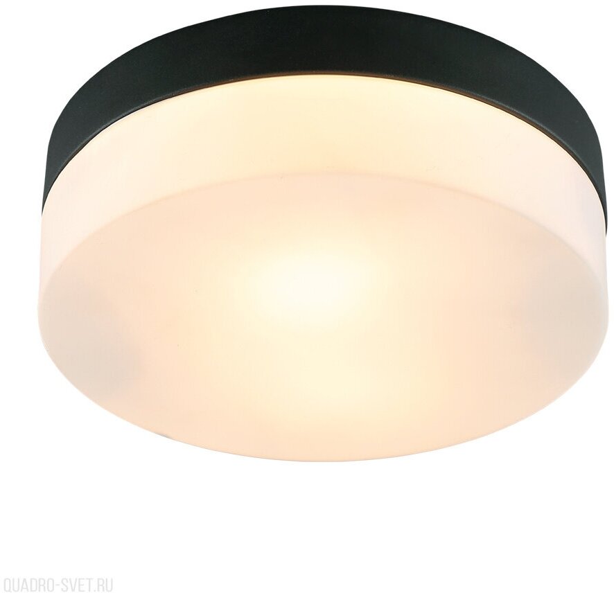 Потолочный светильник Arte Lamp A6047PL-2BK