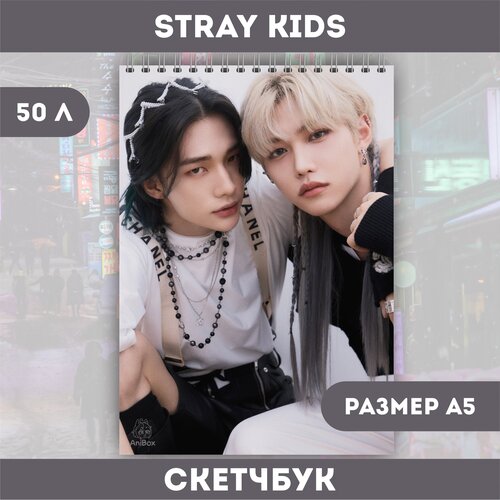 Скетчбук Stray Kids Хван Хёнджин и Ли Феликс скетчбук stray kids хван хёнджин и ли феликс