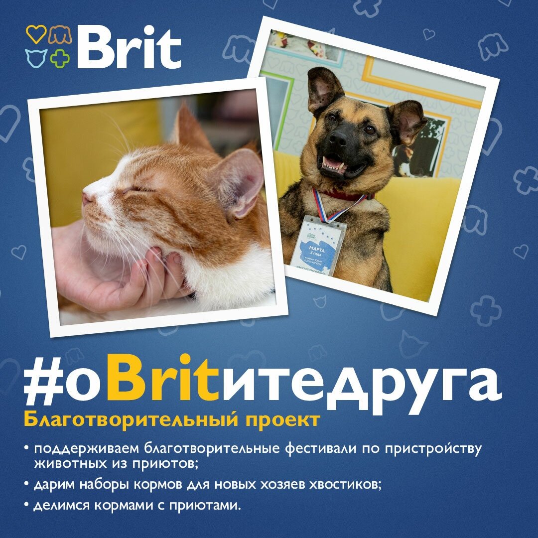 Brit Пауч для взрослых кошек с тунцом в желе 0.085 кг - фотография № 12