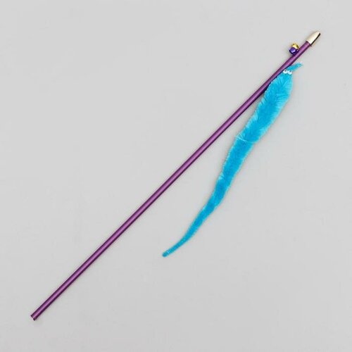 АдельПэт Дразнилка