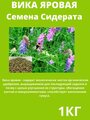 Сидерат Вика яровая, 1 кг