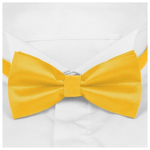 мужской однотонный галстук бабочка желтый галстук бабочка галстук бабочка Бабочка Roberto Cassini, желтый