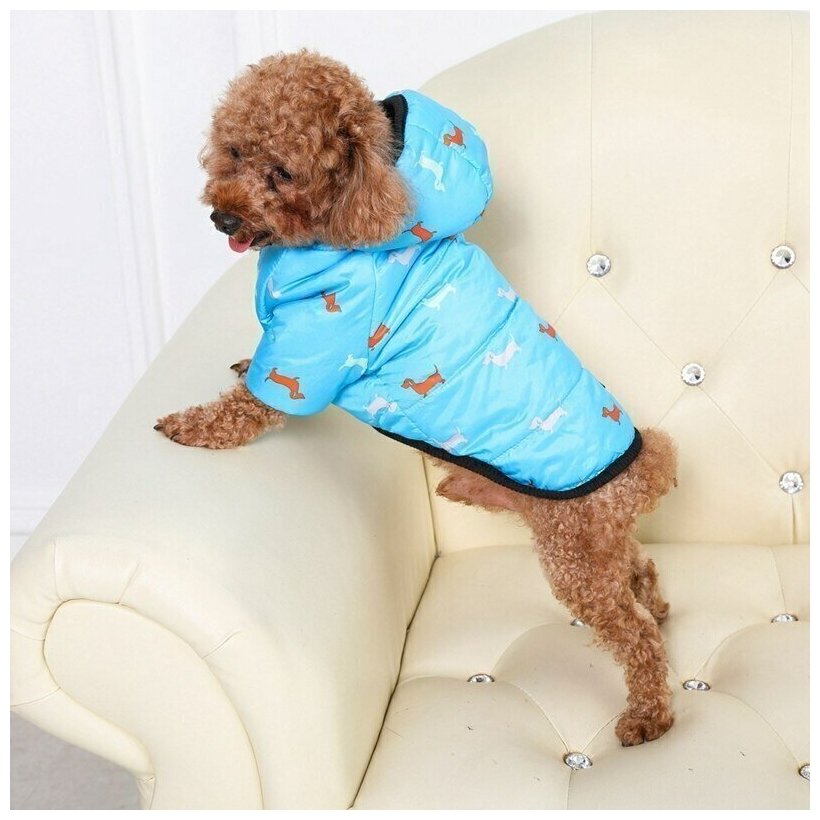 Куртка утепленная для собак мелких пород с капюшоном. Пуховик для собак. Собачки Цвет Голубой. Размер XXL