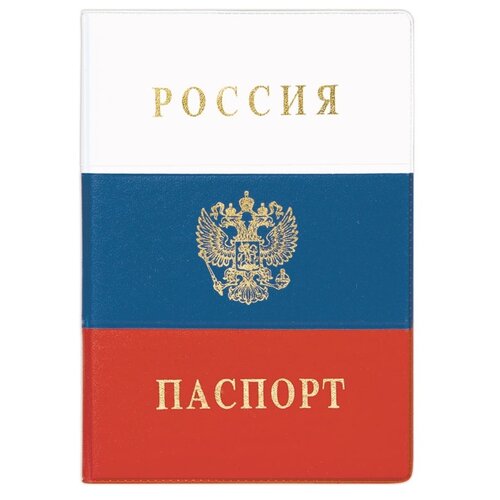 Обложка для паспорта DPSkanc 723913, белый, синий для паспорта dpskanc синий