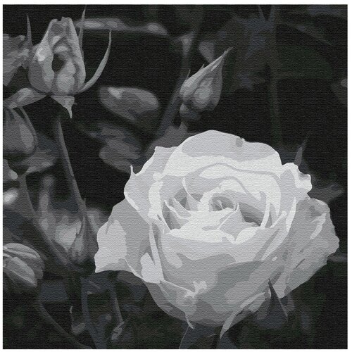 Котеин Картина по номерам Белая роза (KHM0035)30x30см картина по номерам ягуар 30х30 см котеин