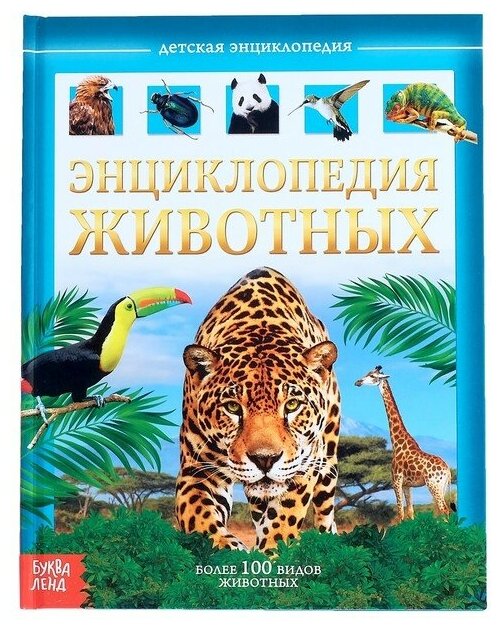 Детская энциклопедия Буква-ленд в твердом переплете, "Животные", 48 страниц