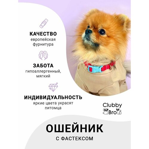 Clubby Bro Ошейник для собак мелких пород и средних пород, красный-голубой, размер S