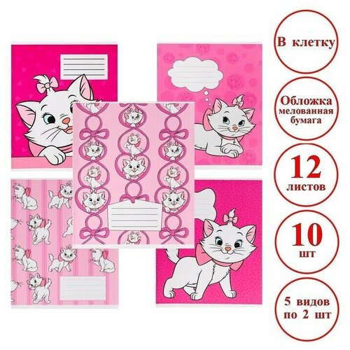 Тетрадь А5 Клетка 12 л 957₽