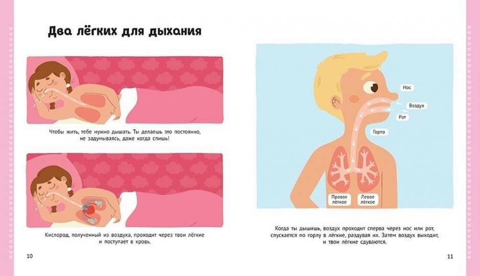 Энциклопедия для малышей (Чернышова-Орлова Екатерина О. (переводчик)) - фото №19