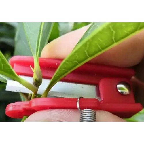 Нож садовый для рассады напалечник красный