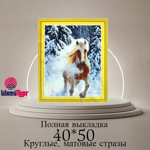 Алмазная мозаика 40*50 см в технике 5D на подрамнике 0026