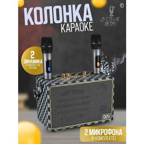 Колонка караоке с двумя микрофонами ретро караоке 6100₽