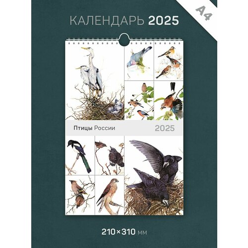 Календарь 2025 год, настенный, А4, перекидной 