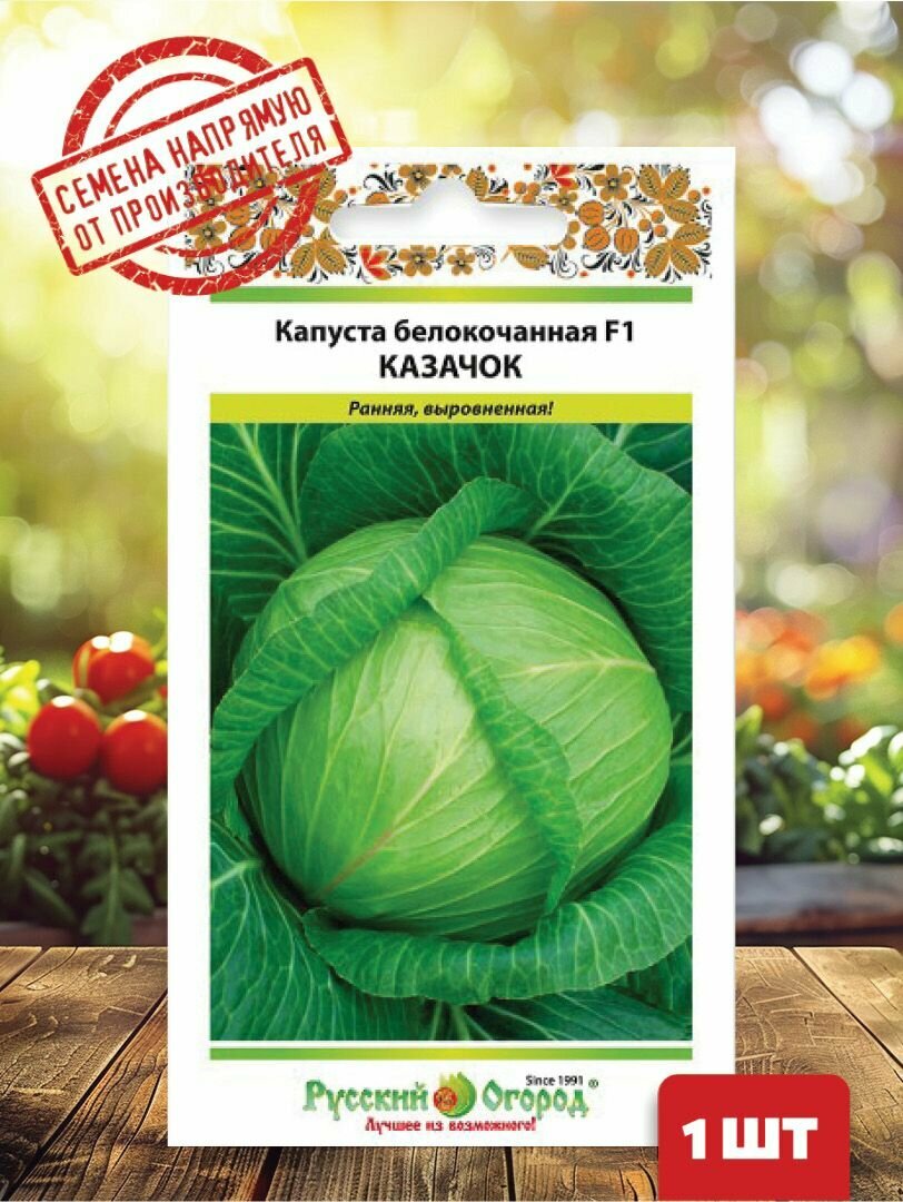Семена Капуста б/к F1 Казачок