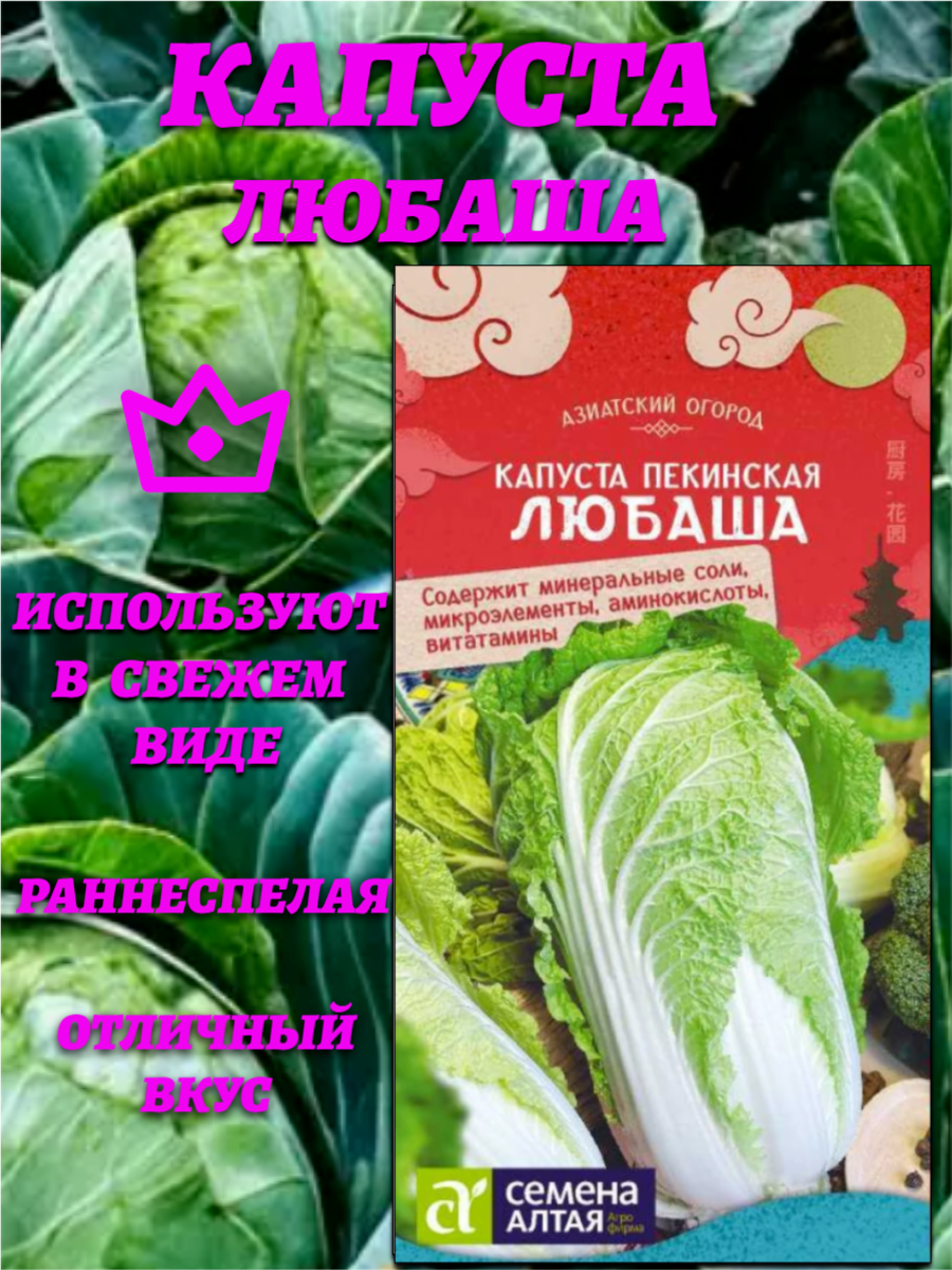 Капуста Пекинская Любаша(03гр). Раннеспелый сорт. Семена Алтая