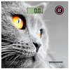 Весы электронные REDMOND RS-735 (кошка) - изображение