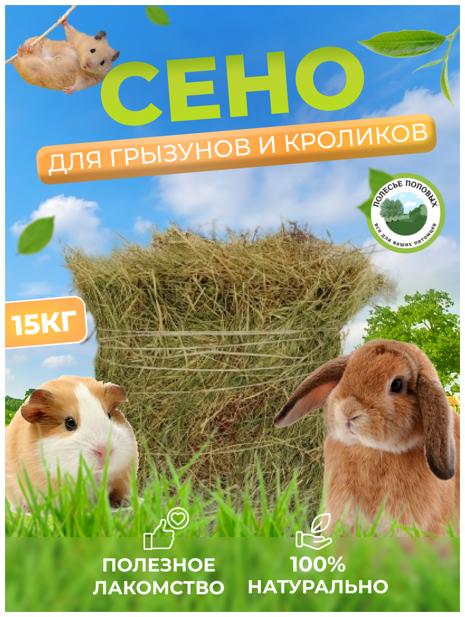 Сено луговое для животных и грызунов пресованное 15 кг/ сено луговое разнотравье/ урожай 2022/ - фотография № 1