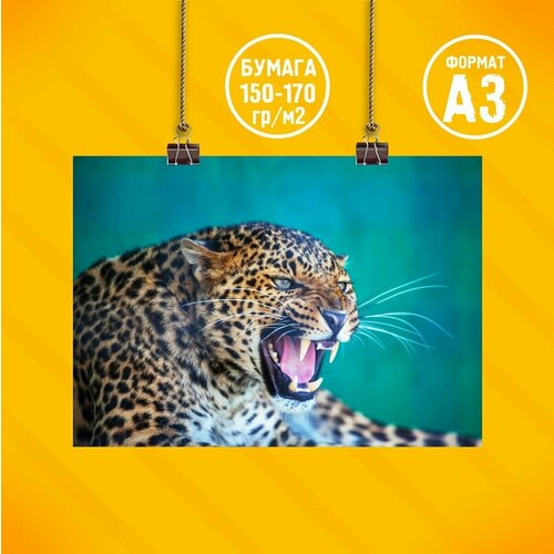 Плакат на стену 