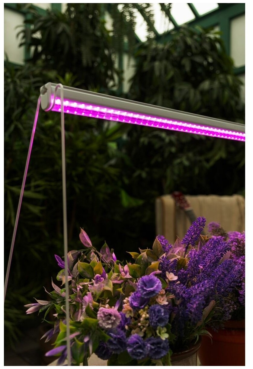 Светильник для растений светодиодный линейный, 570мм ULI-P28-11W/SPSB IP20 WHITE - фотография № 11