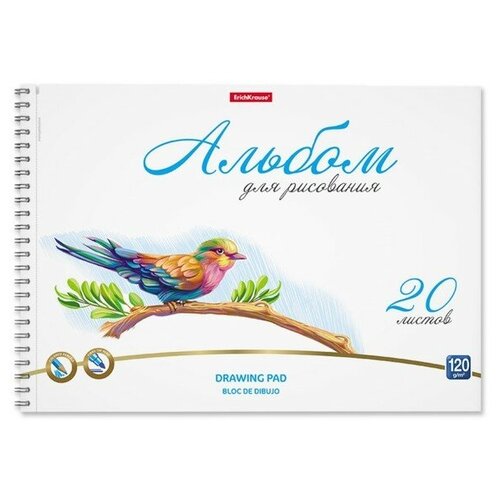 Альбом для рисования А4, 20л на спирали ErichKrause Birds, микроперфорация