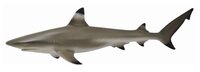 Фигурка Collecta Рифовая акула 88726