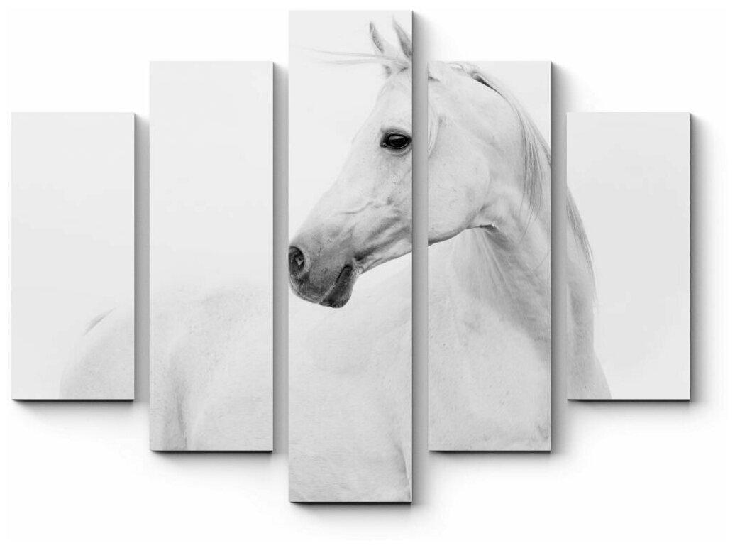 Модульная картина Белая лошадка125x100