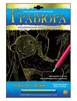 Гравюра Рыжий кот Панда на дереве, в конверте (Г-6097) золотистая основа