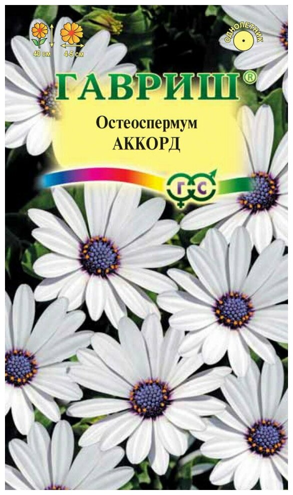 Гавриш Остеоспермум Аккорд (белый), 0,1 г