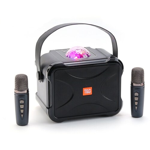 Портативная беспроводная караоке система с двумя микрофонами FM радио и светомузыкой 365000₽