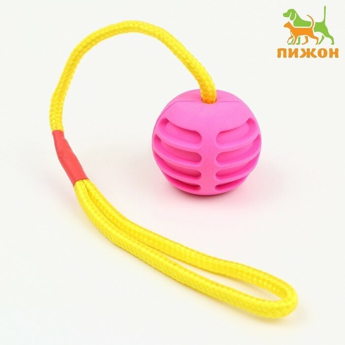 Игрушка "Шар усиленный на веревке", 43 см, шар 6 см, розовый - фотография № 1