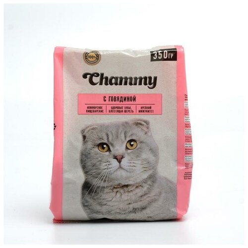 Сухой корм Chammy для кошек, говядина, 350 г