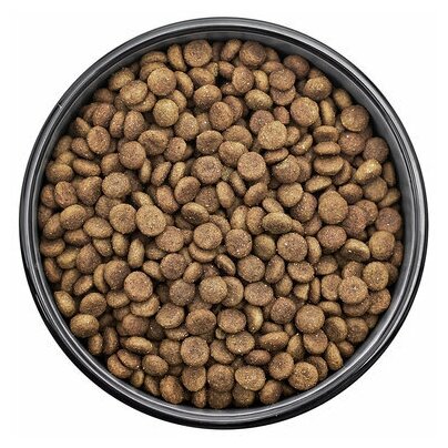 FLORIDA сухой корм для взрослых собак средних пород с ягненком и грушей - 14 кг
