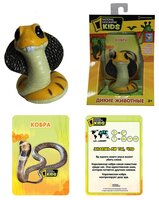 1 TOY National Geographic Дикие животные Т55905