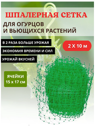 Сетка шпалерная для вьющихся растений 2х10 м ячейки 15х17 см