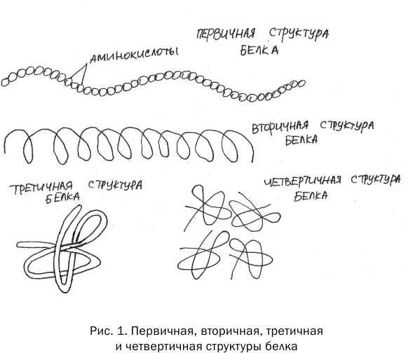 Аллергия и как с ней жить: руководство для всей семьи - фото №12