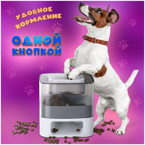 Автоматическая кормушка для кошек WiMi развивающая интерактивная кормилка для собак на присосках игровая автокормушка для животных зоотовары 1218₽