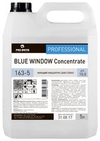 Жидкость Pro-Brite Blue Window Concentrate для стёкол 5000 мл