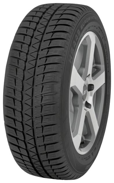 Falken Eurowinter HS-449 205/55 R17 95V зимняя