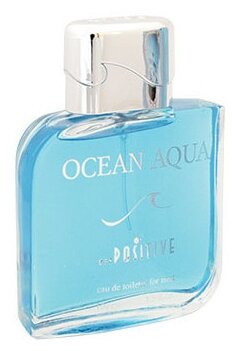 Туалетная вода мужская OCEAN AQUA, 100 мл