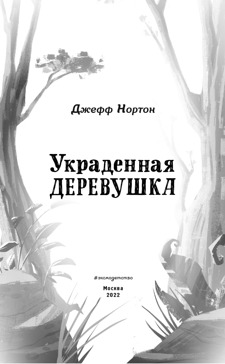 Украденная деревушка (Джефф Нортон) - фото №12