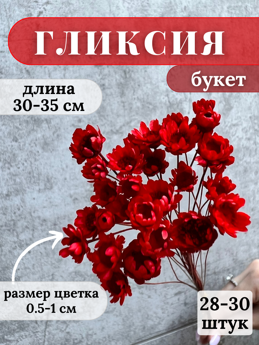 Сухоцветы Гликсия для декора и творчества (Цвет: алый)