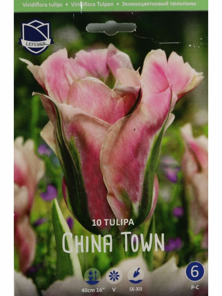 Тюльпан Чайна Таун (Tulip China Town), 10 шт - фотография № 1