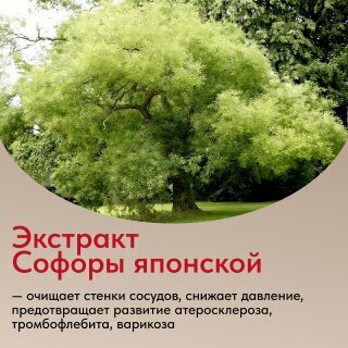 Растительные Препараты От Холестерина Наттокиназа 5000 FU для снижения уровня холестерина и профилактики тромбоза, 30 таблеток