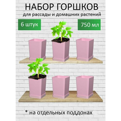 Горшки для рассады и цветов горшок для цветов - 6 шт по 750 мл на отдельных поддонах пыльная роза 697₽