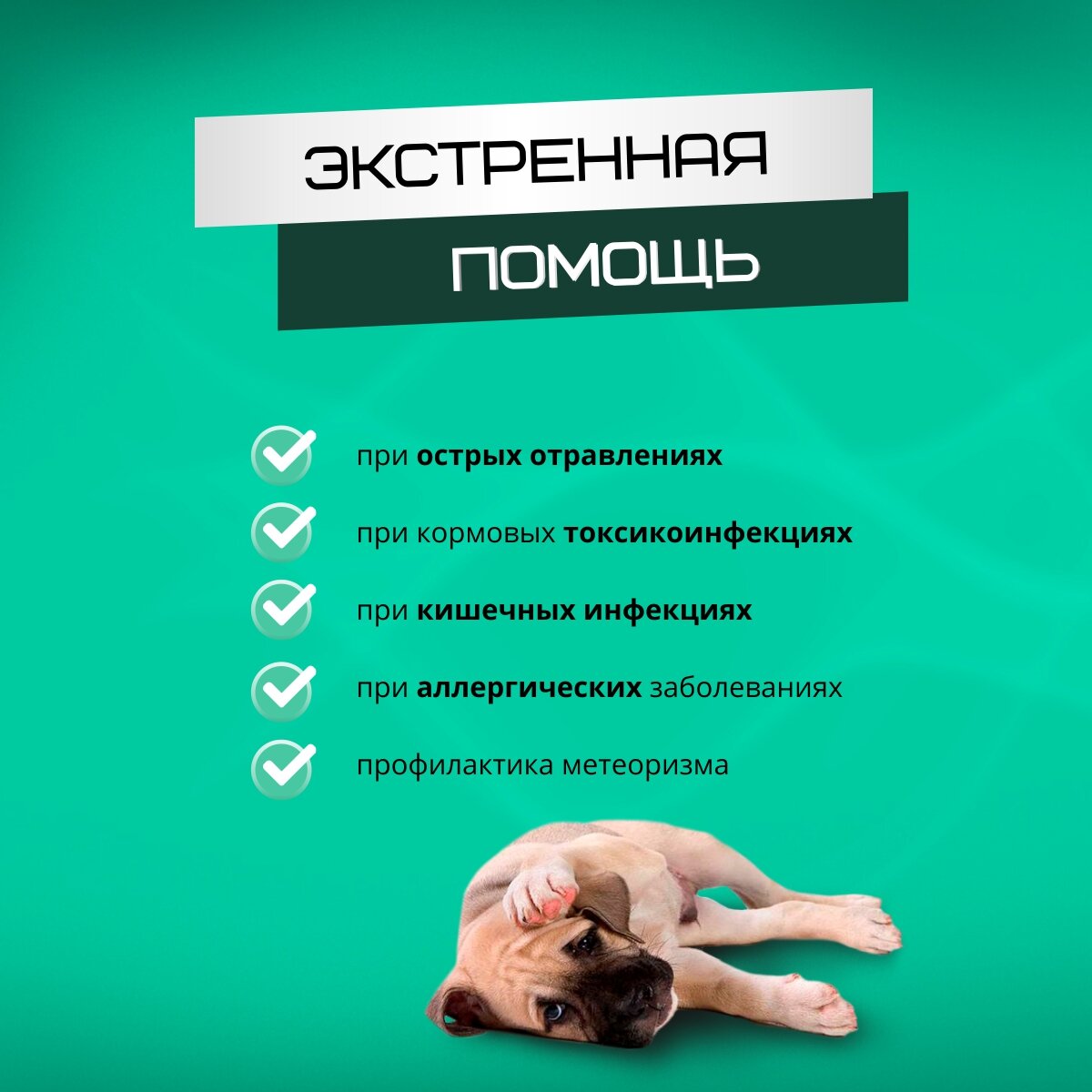 Картинки Сорбент для домашних животных Ковелос Вита (10 саше)