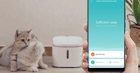Умная поилка Xiaomi Smart Pet Fountain в интерьере гостиной